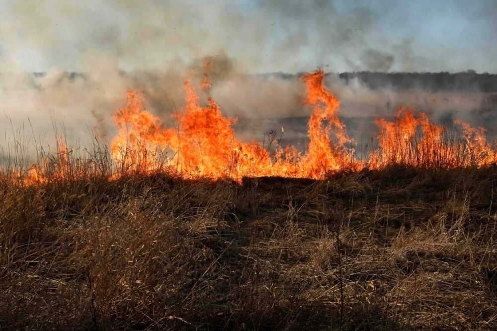 The world on fire